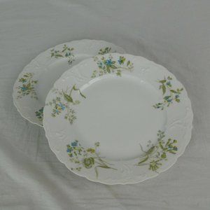 M Redon Limoges 5069 Blue Flowers Salad Plate Set of 2 Fine China France Texture